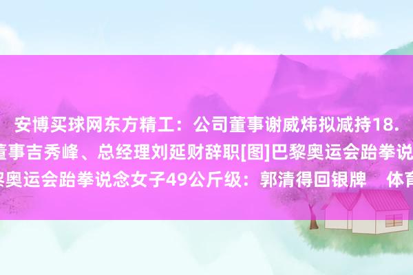 安博买球网东方精工：公司董事谢威炜拟减持18.8万股北元集团：公司董事吉秀峰、总经理刘延财辞职[图]巴黎奥运会跆拳说念女子49公斤级：郭清得回银牌    体育最新信息