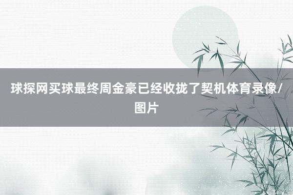 球探网买球最终周金豪已经收拢了契机体育录像/图片