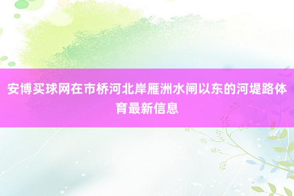 安博买球网在市桥河北岸雁洲水闸以东的河堤路体育最新信息