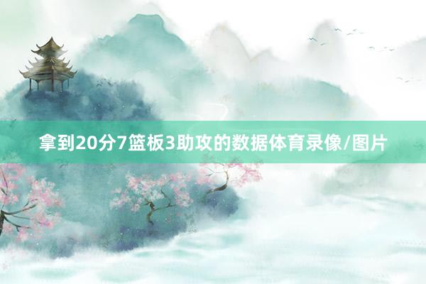 拿到20分7篮板3助攻的数据体育录像/图片