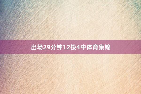 出场29分钟12投4中体育集锦